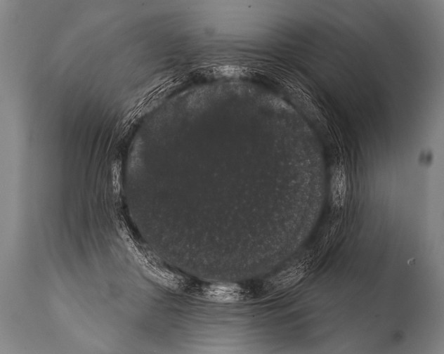 X0000112000410200909141106