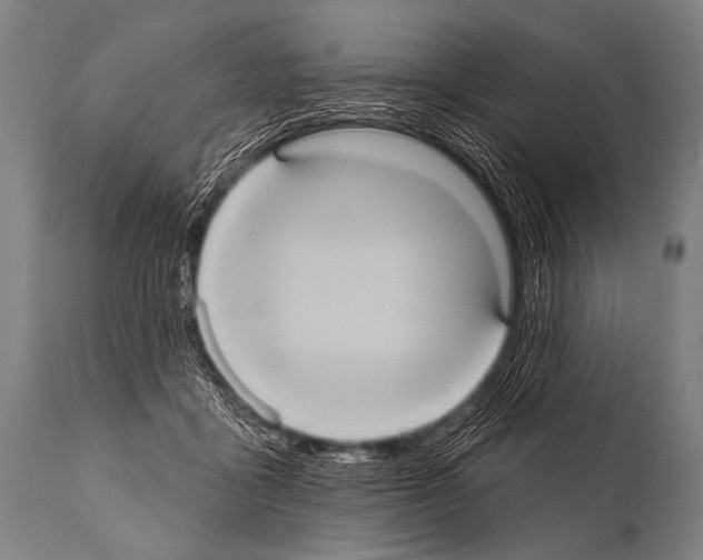 X0000112000411200909141106