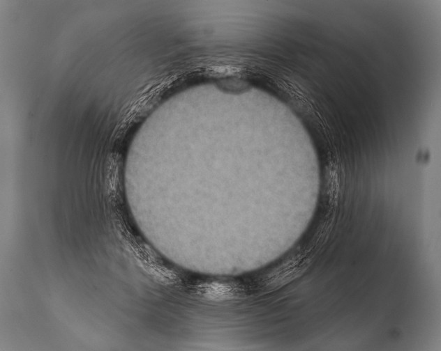 X0000112000412200909141106