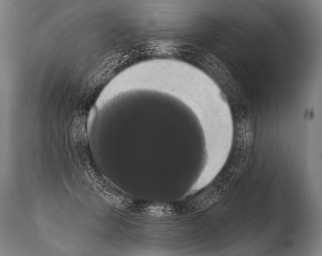 X0000112000415200909141106