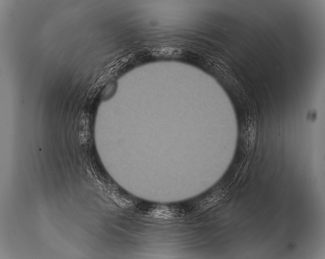 X0000112000416200909141106