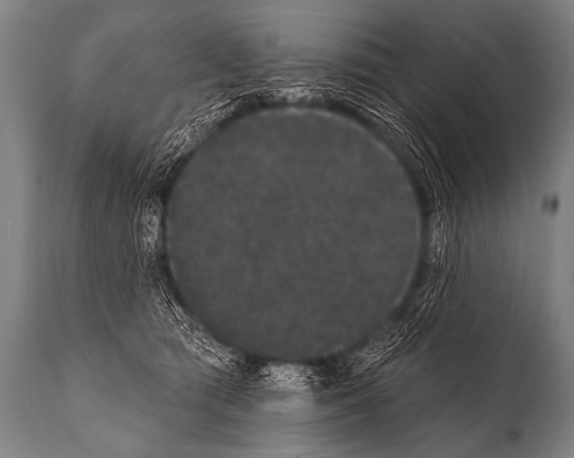 X0000112000417200909141106