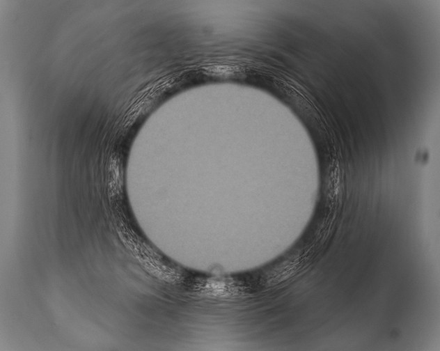 X0000112000420200909141106