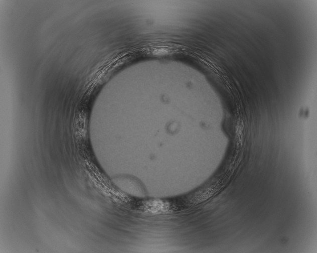 X0000112000421200909141106