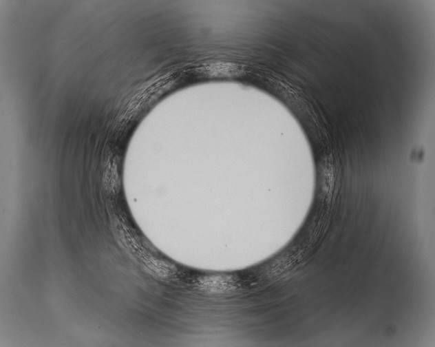 X0000112000422200909141106