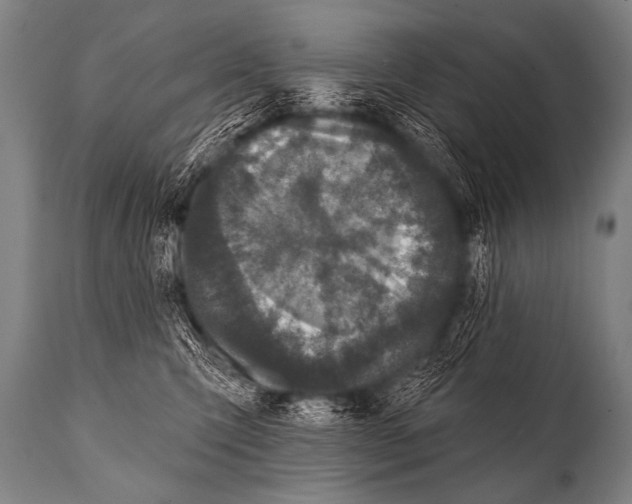 X0000112000423200909141106