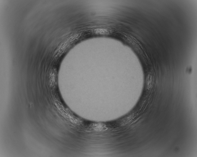 X0000112000424200909141106