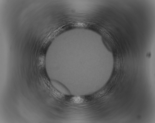 X0000112000425200909141106