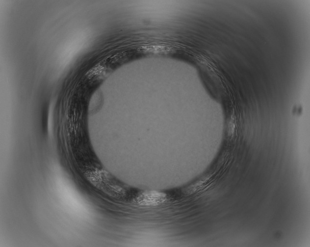 X0000112000429200909141106