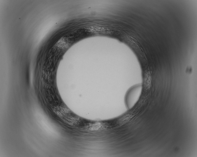 X0000112000430200909141106