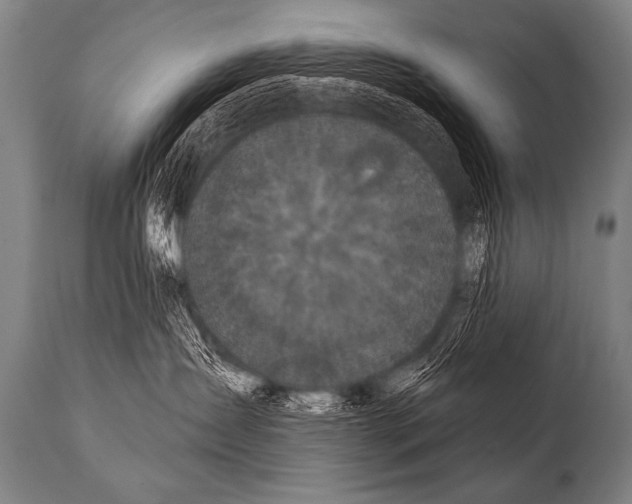 X0000112000431200909141106