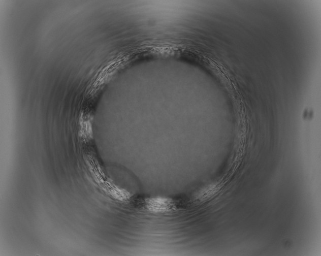 X0000112000432200909141106