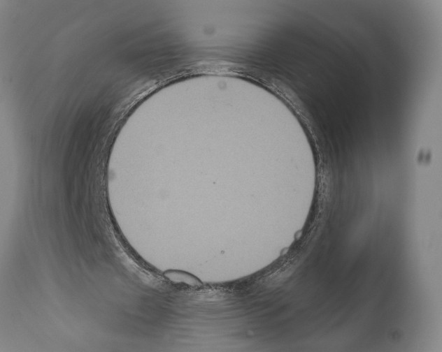 X0000112000433200909141105