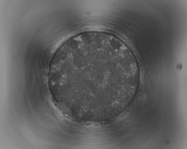 X0000112000434200909141105