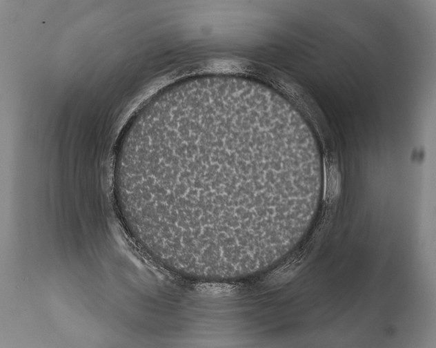 X0000112000435200909141105