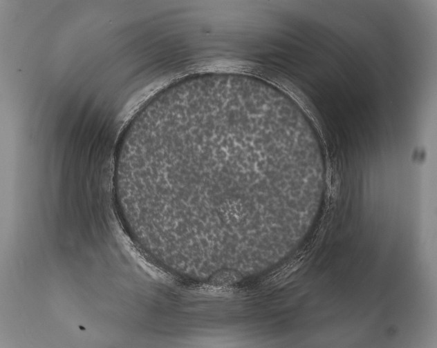 X0000112000437200909141105