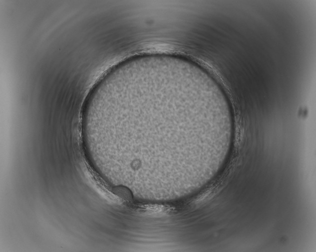 X0000112000439200909141105