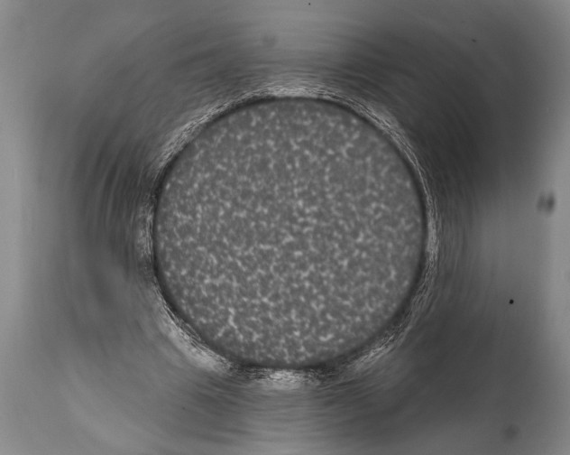 X0000112000441200909141105