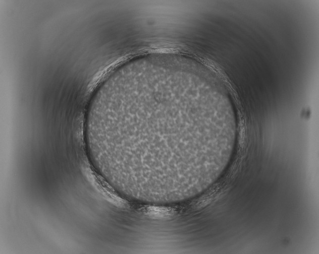 X0000112000442200909141105