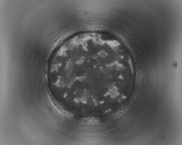 X0000112000443200909141105