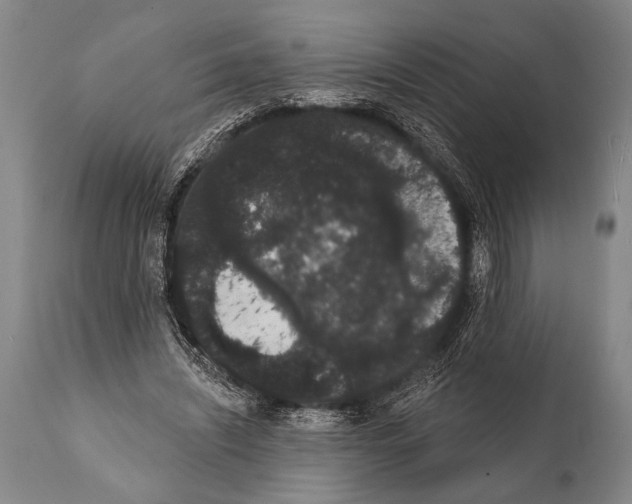 X0000112000444200909141105