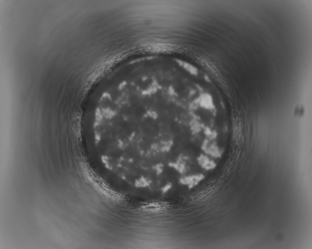 X0000112000447200909141105