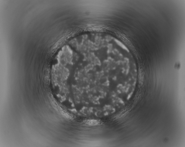 X0000112000449200909141105