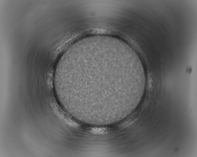 X0000112000450200909141105