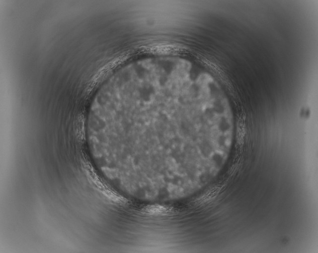 X0000112000453200909141105