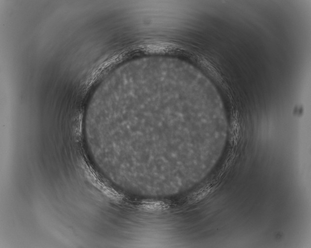 X0000112000454200909141105