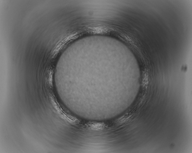 X0000112000456200909141105