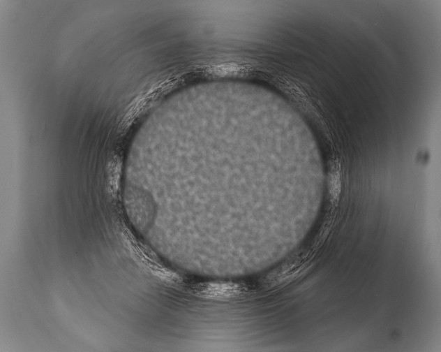 X0000112000458200909141106