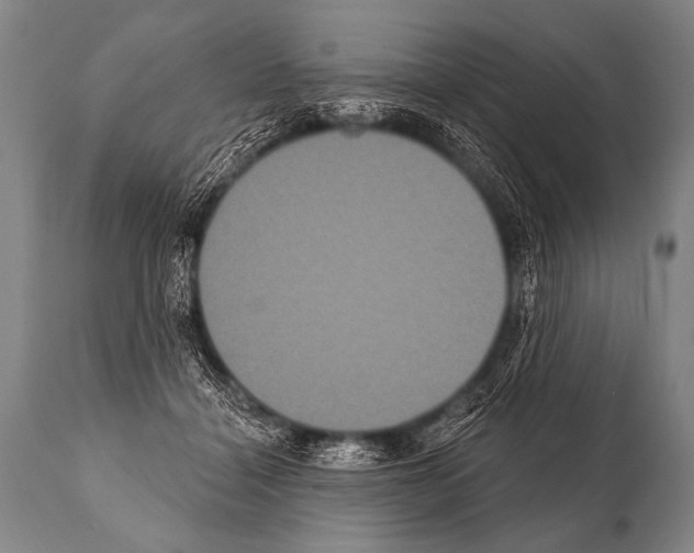 X0000112000460200909141106