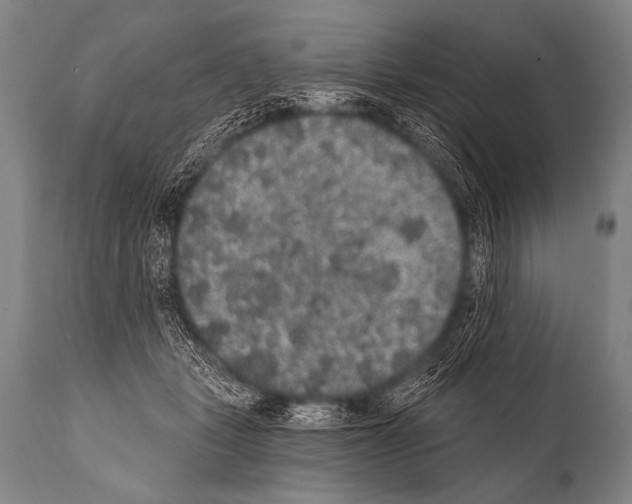 X0000112000461200909141106