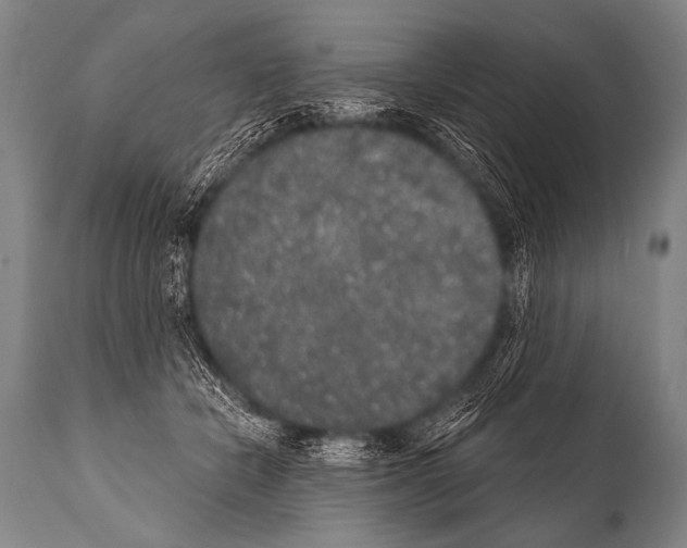 X0000112000462200909141106