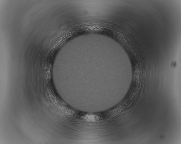 X0000112000464200909141106