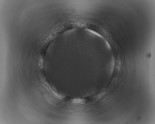 X0000112000465200909141106