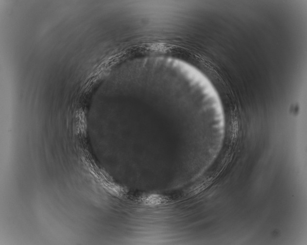 X0000112000467200909141106