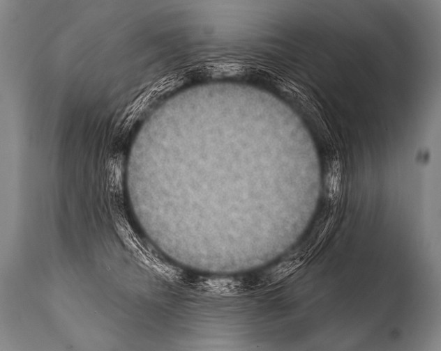 X0000112000468200909141106