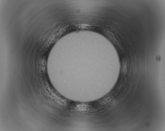 X0000112000470200909141106