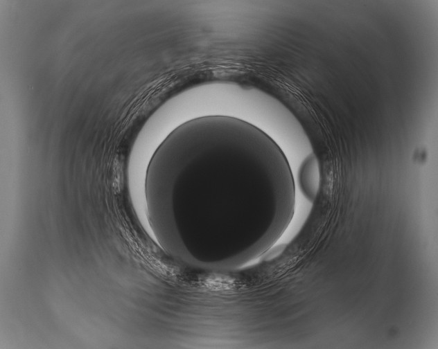 X0000112000471200909141106