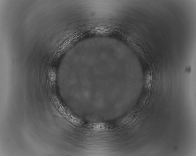 X0000112000472200909141106