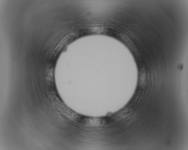 X0000112000473200909141106