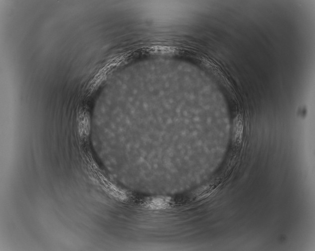 X0000112000474200909141106