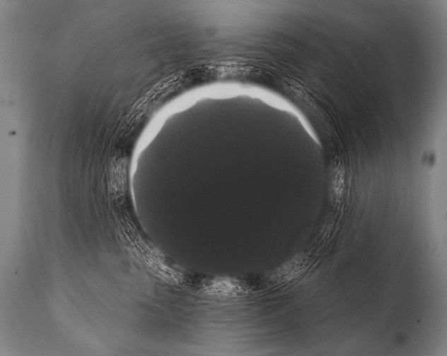 X0000112000475200909141106