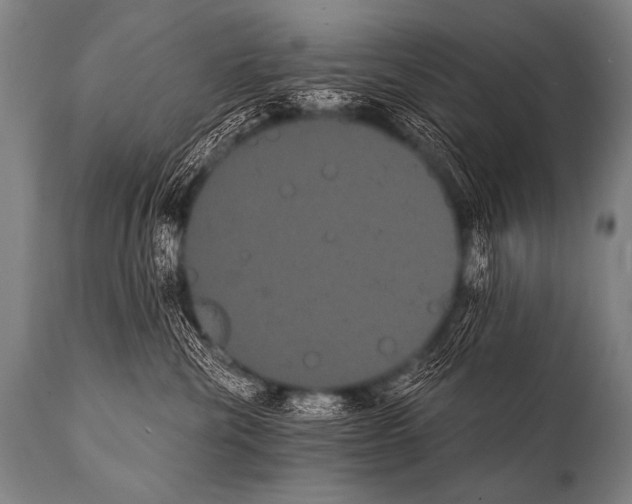 X0000112000476200909141106