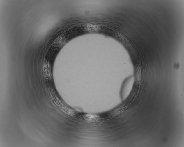 X0000112000477200909141106