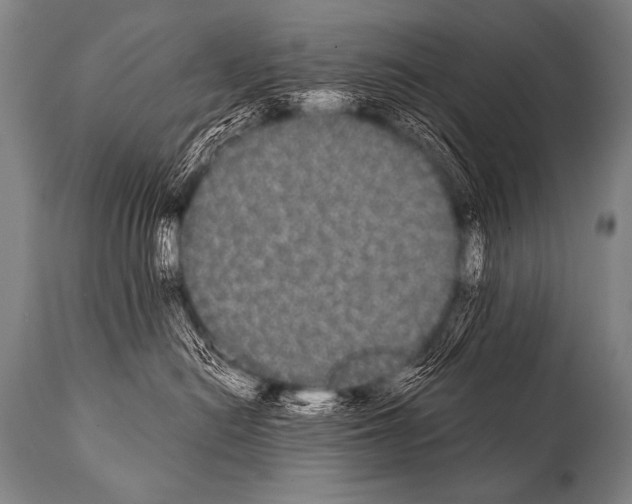 X0000112000478200909141106