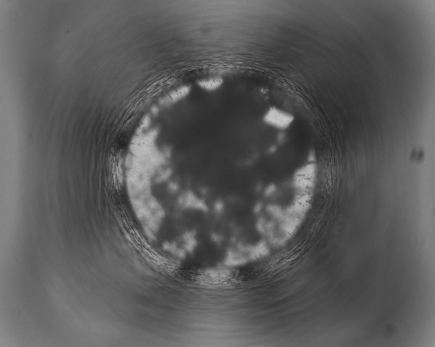 X0000112000479200909141106