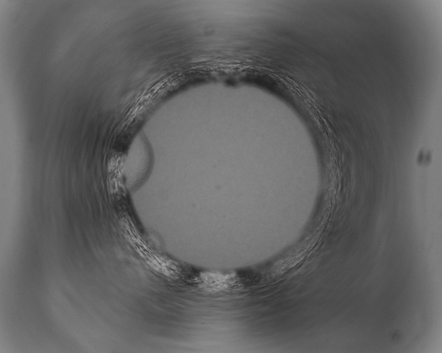 X0000112000480200909141106